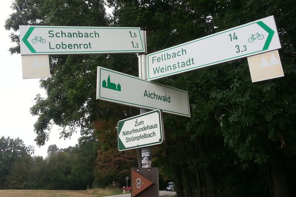 Detailaufnahme am Nachweispunkt »Aichwald«