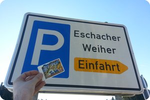 Detail am Nachweispunkt »Eschacher Weiher«