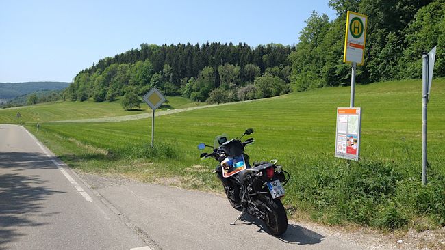 Am Nachweispunkt »Kornbergsattel«